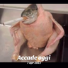 Fragolina23