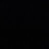 null233