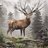 DeerCuck